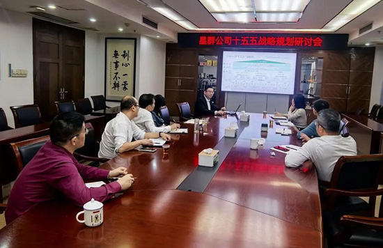 星群公司召开“十五五”战略规划阶段性研讨会