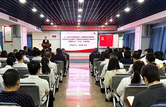 星群公司召开传达学习贯彻党的二十届四中全会精神及习近平总书记视察广东重要讲话重要指示精神大会