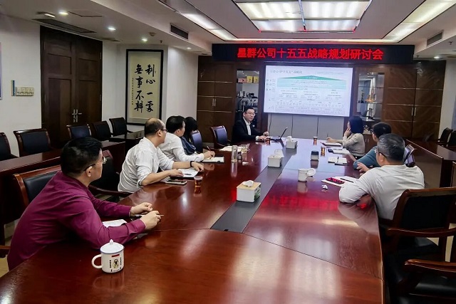 星群公司召开“十五五”战略规划阶段性研讨会